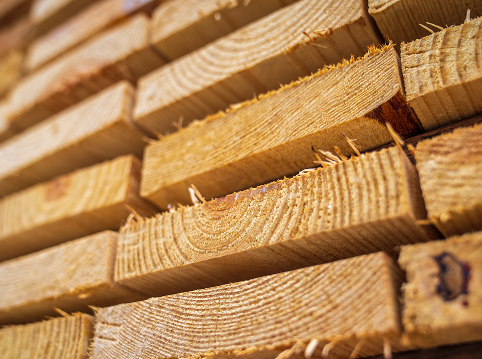 چوب نراد روسی خیس (یولکا)